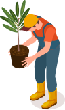 vector smart object copy 3
